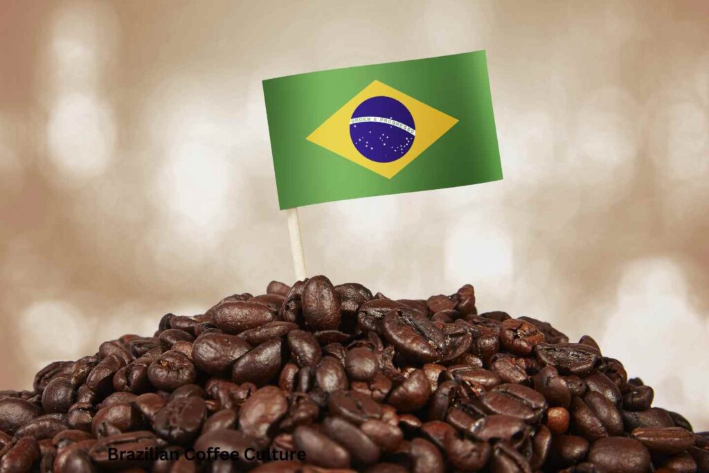 Brazilian Coffee Culture